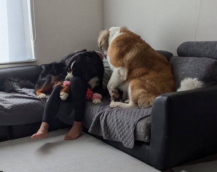 パパさんのもとに集まるまさおくん、つとむくん