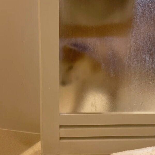 すりガラス越しに飼い主さんを覗く梅助くん