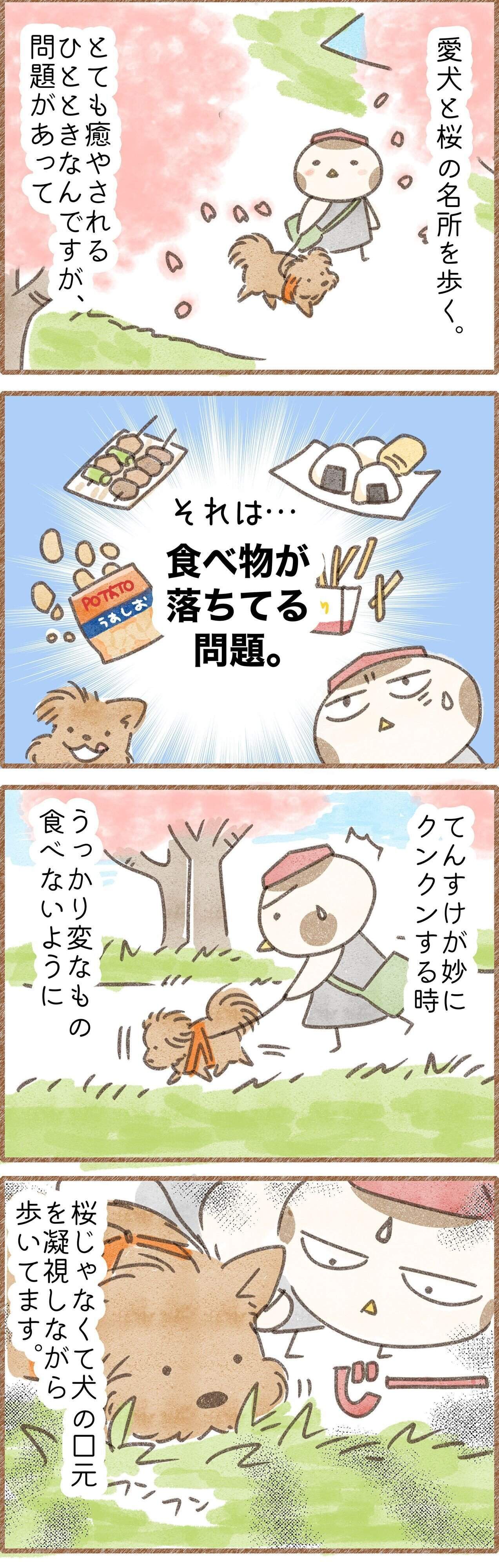 花見散歩で気をつけることを描いた漫画