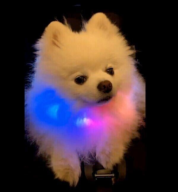 ノーリアクションなレイちゃん