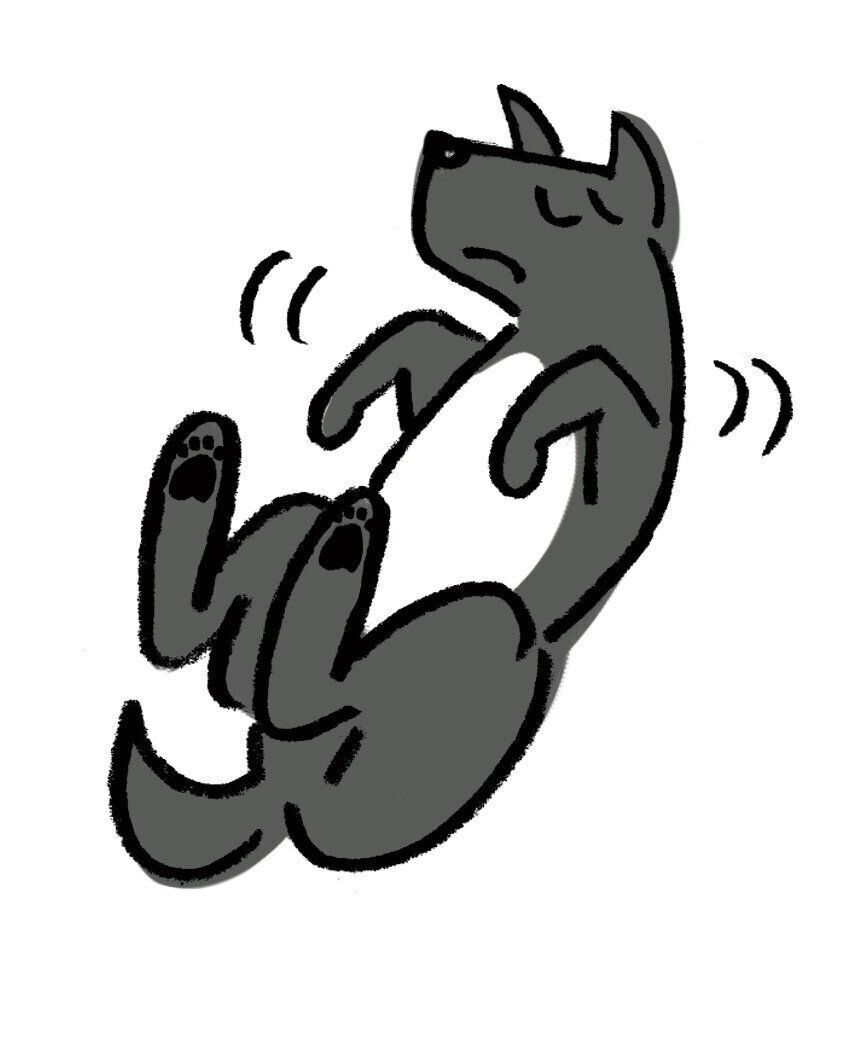 イラスト／オガワナホ