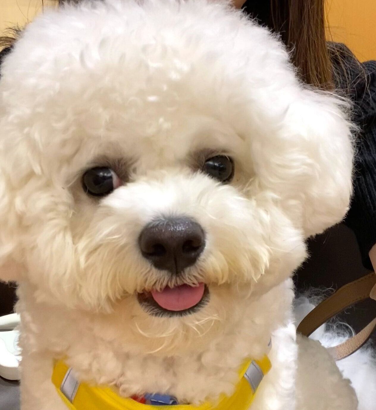 ニコニコ顔を見せるぶんちゃん。