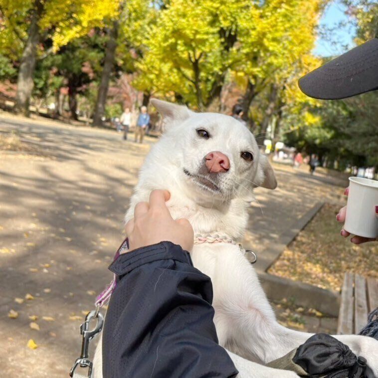 実際にお出かけをしたときの様子