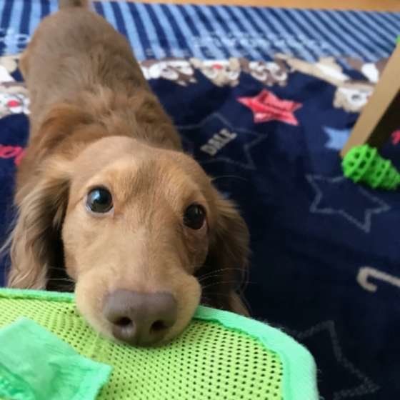 ね〜ね〜、遊ぼうよ！