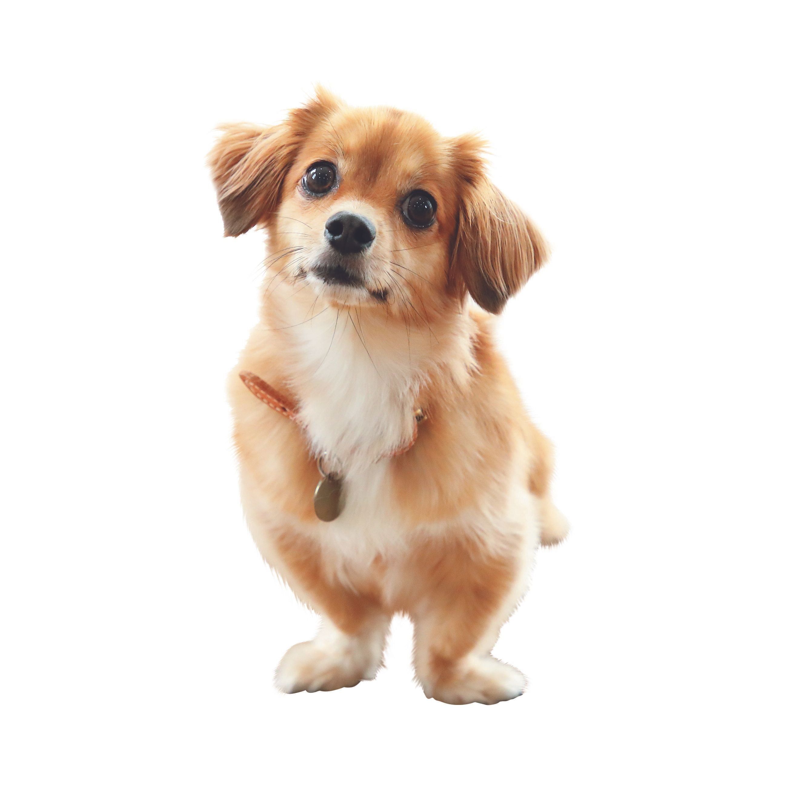 撮影／尾﨑たまき