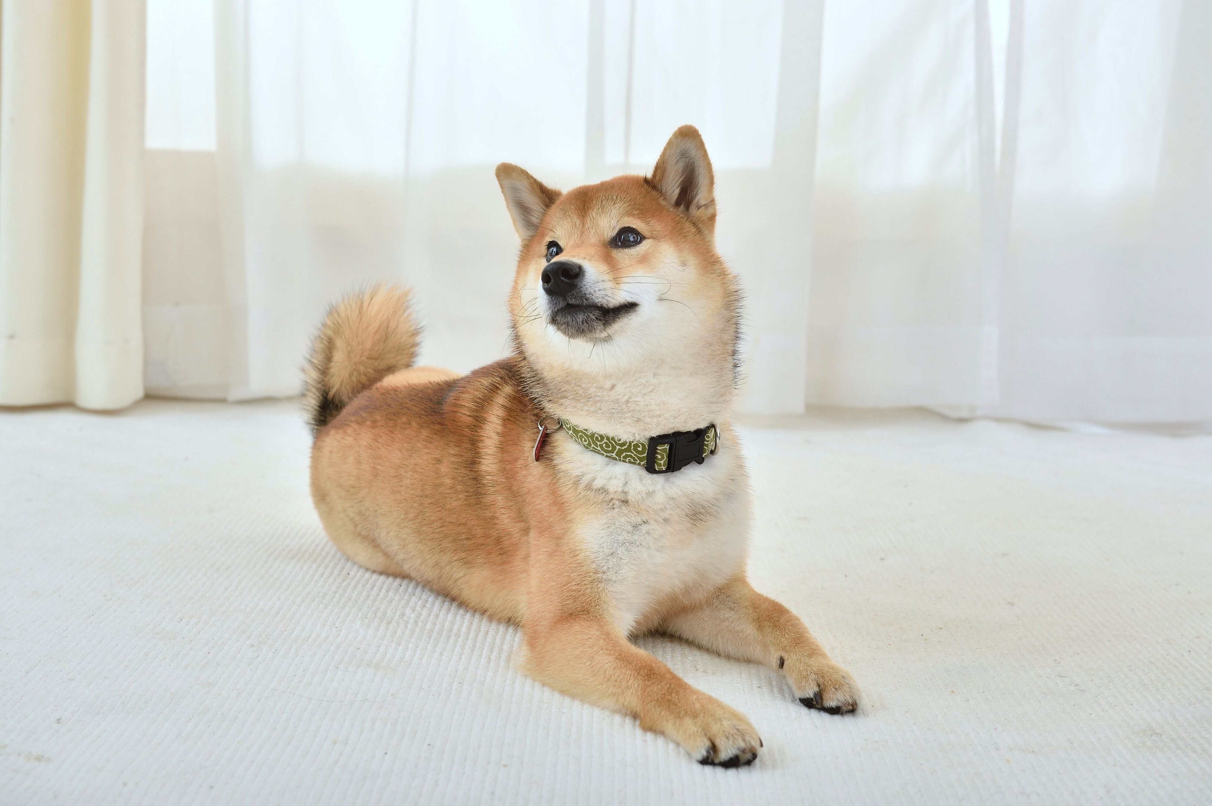 空気を読むことが得意