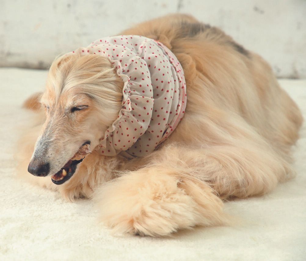 もぐもぐタイムはスヌードが重宝