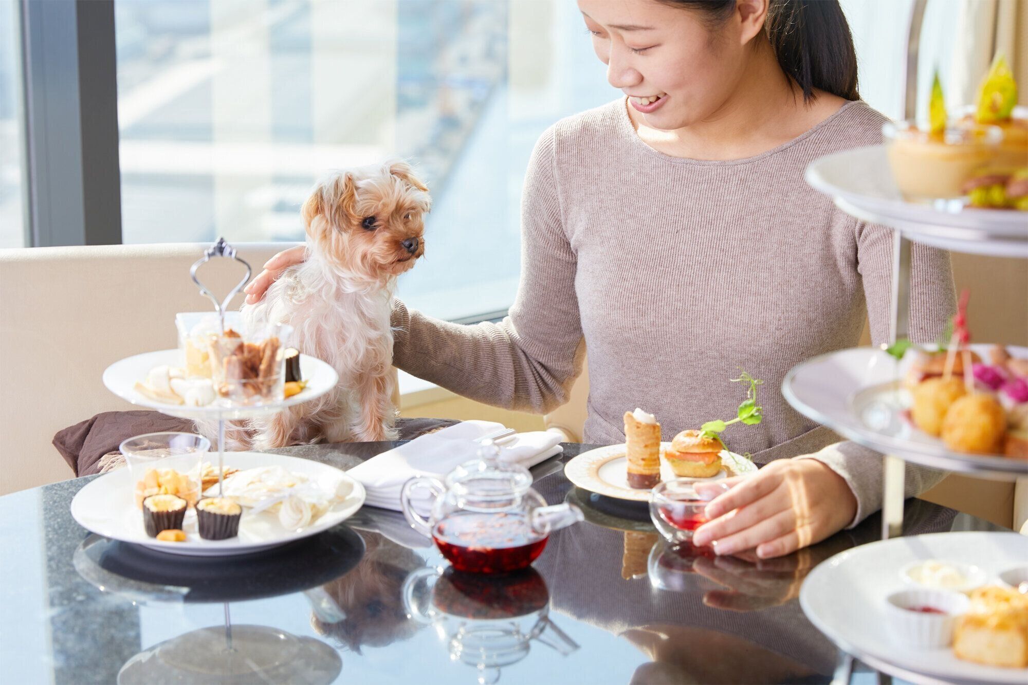 アフタヌーンティーを楽しむ飼い主と犬