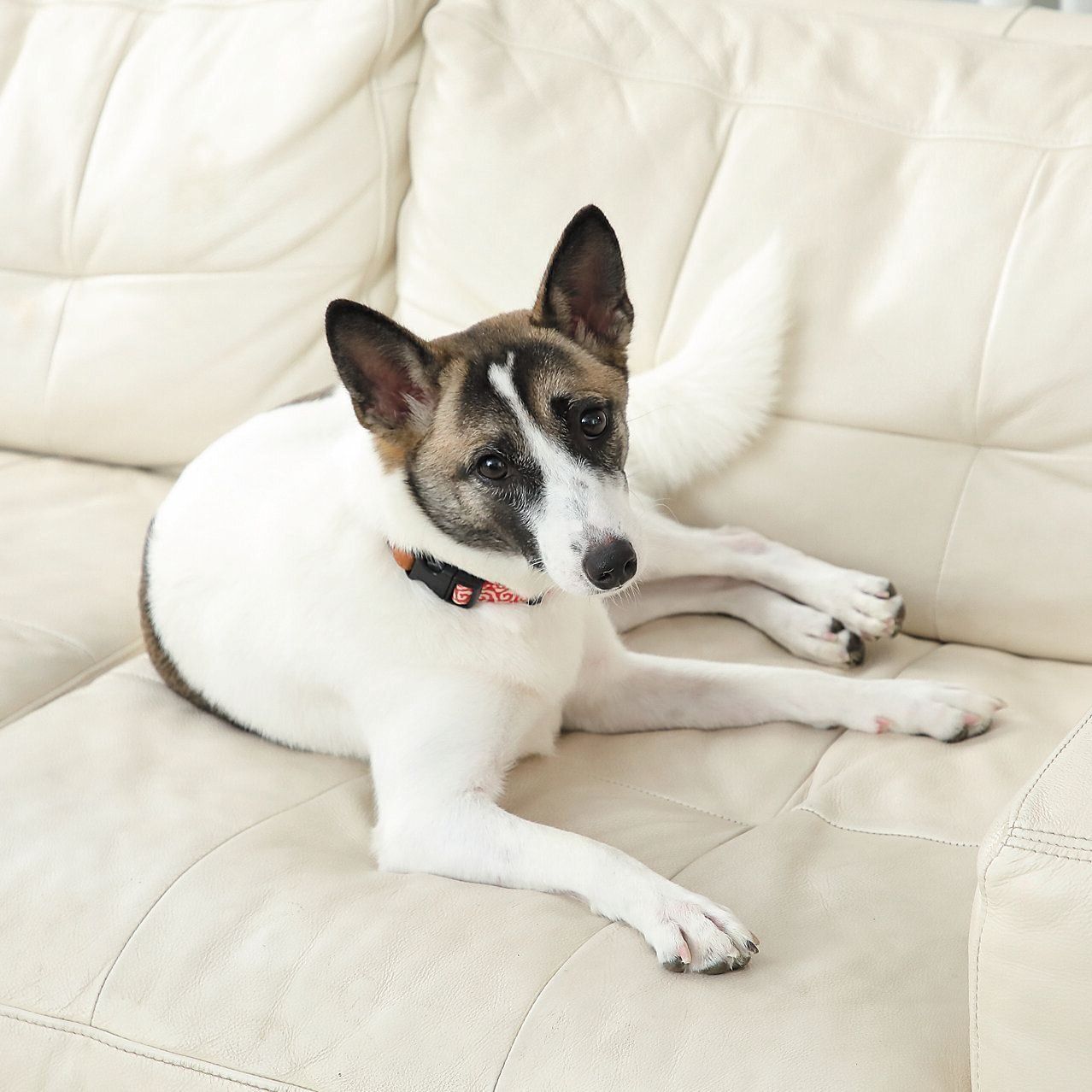 撮影／尾﨑たまき