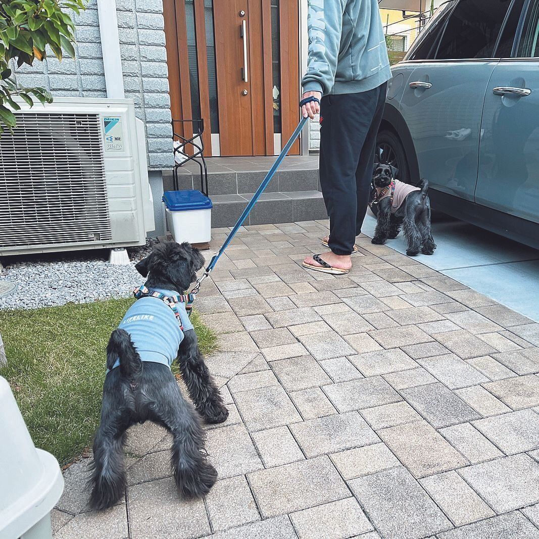 写真提供／M.K.さん