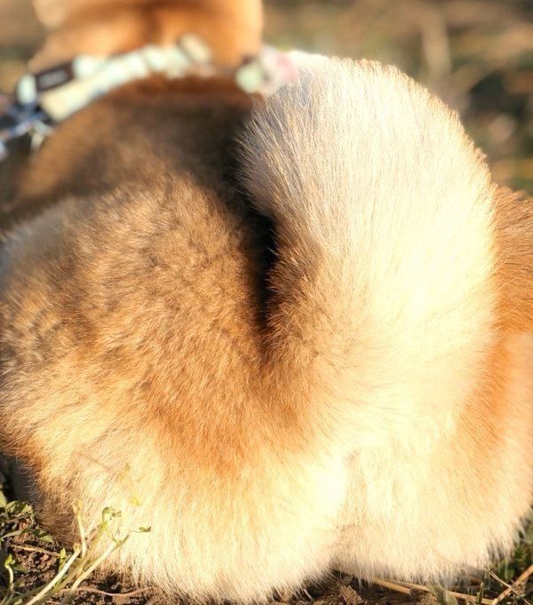 おしりも可愛いそらくん