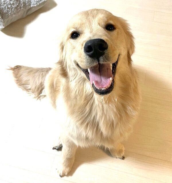 笑顔が可愛いおからちゃん