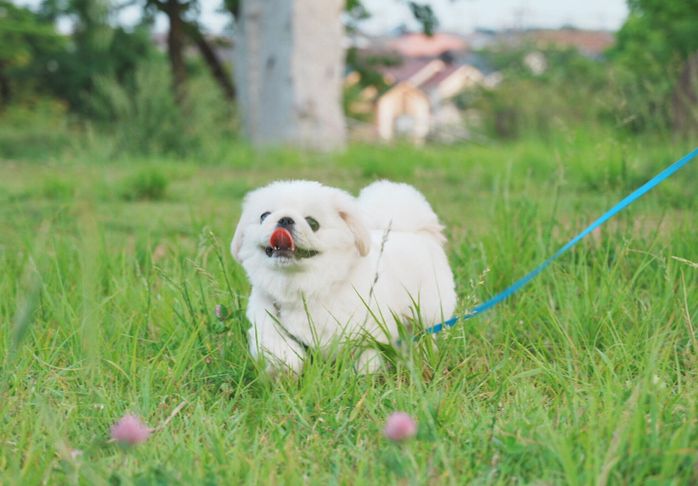 久しぶりにお気に入りの公園で遊べて嬉しそうなぬん坊くん