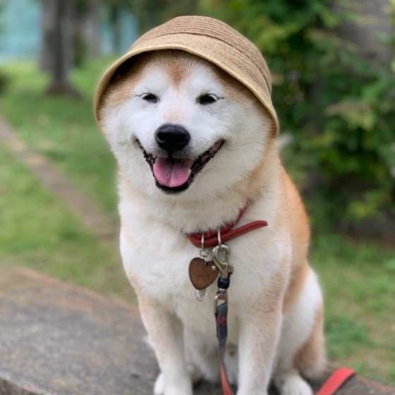 帽子が似合うケン太くん