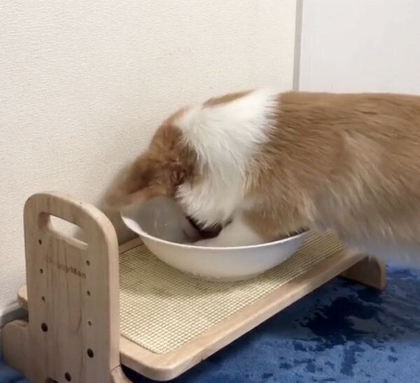 水遊びをするリコちゃん