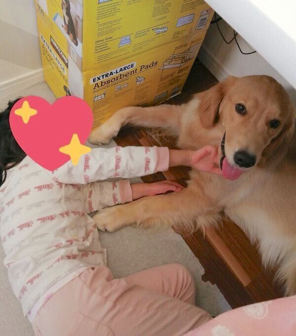 机の下に集まるナッツちゃんと娘さん