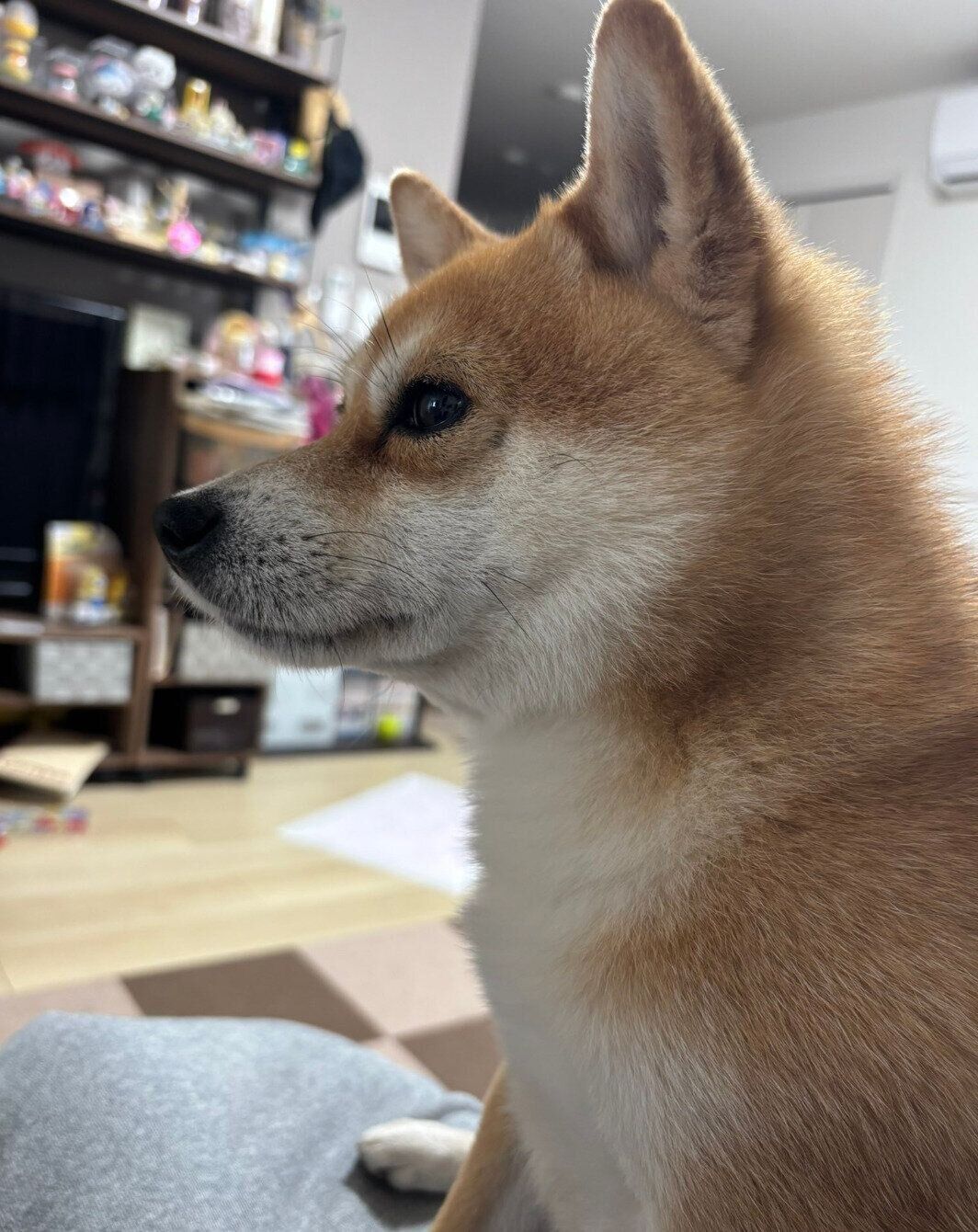 甘え上手なクロンくん