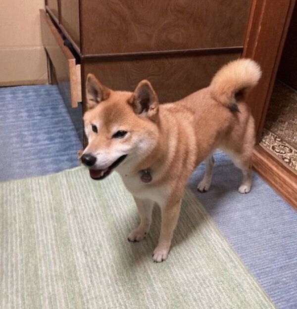 楽しそうなふうたくん