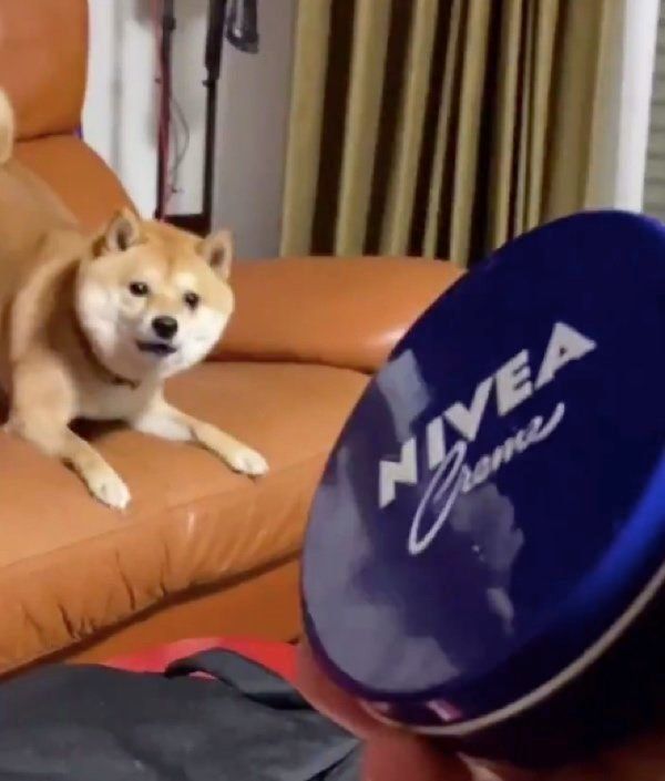 保湿クリームを警戒する豆千代くん