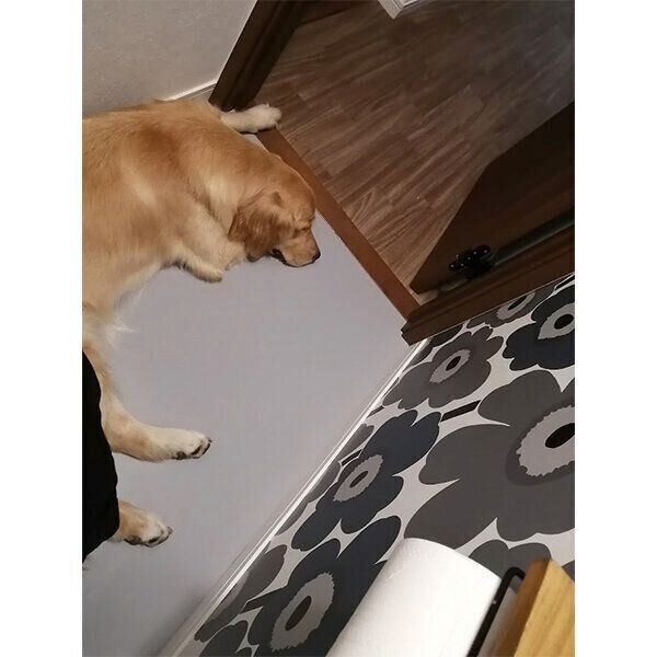 トイレについてきたナッツちゃん