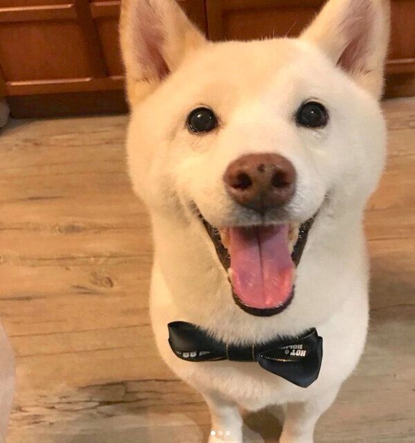 笑顔の福来くん