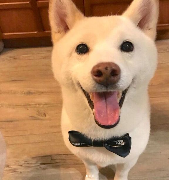 笑顔の福来くん