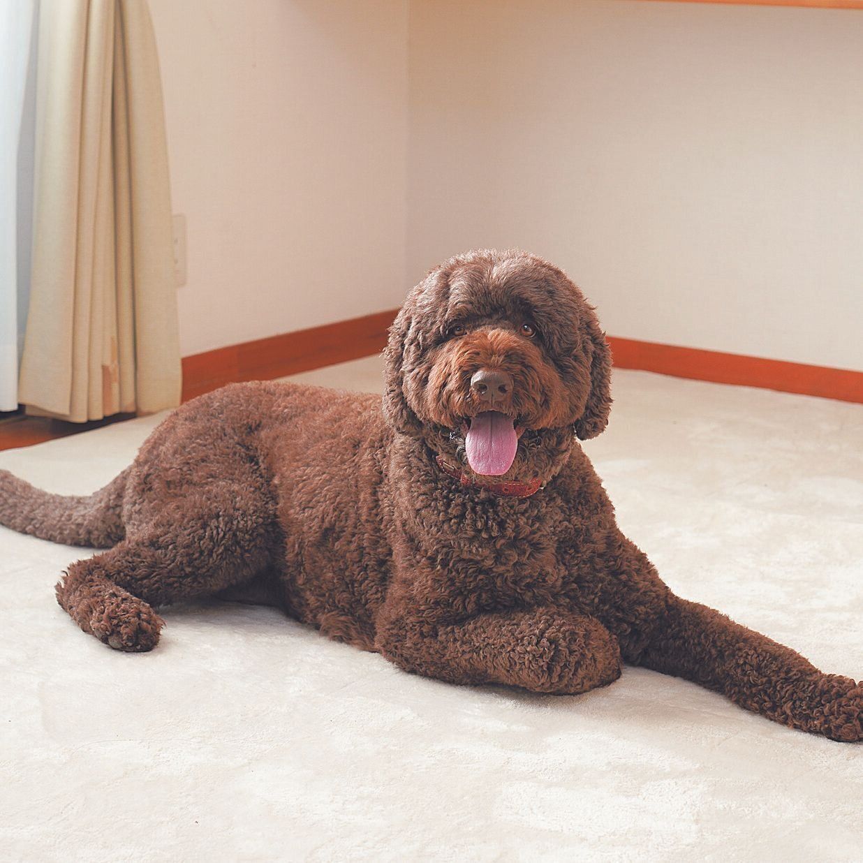 撮影／殿村忠博