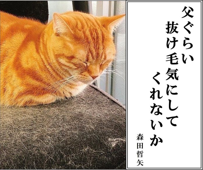 さらば青春の光 森田さんの犬猫あるある川柳