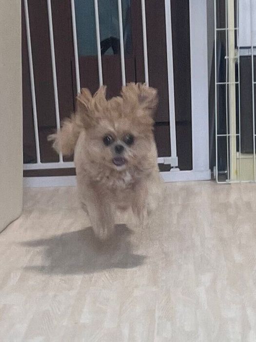 「いつも本気で駆けつけてくれる」とキャプションをつけてXに投稿された写真