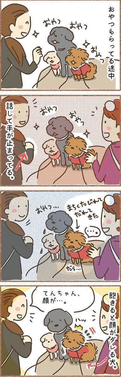 連載「こぐま犬てんすけ」