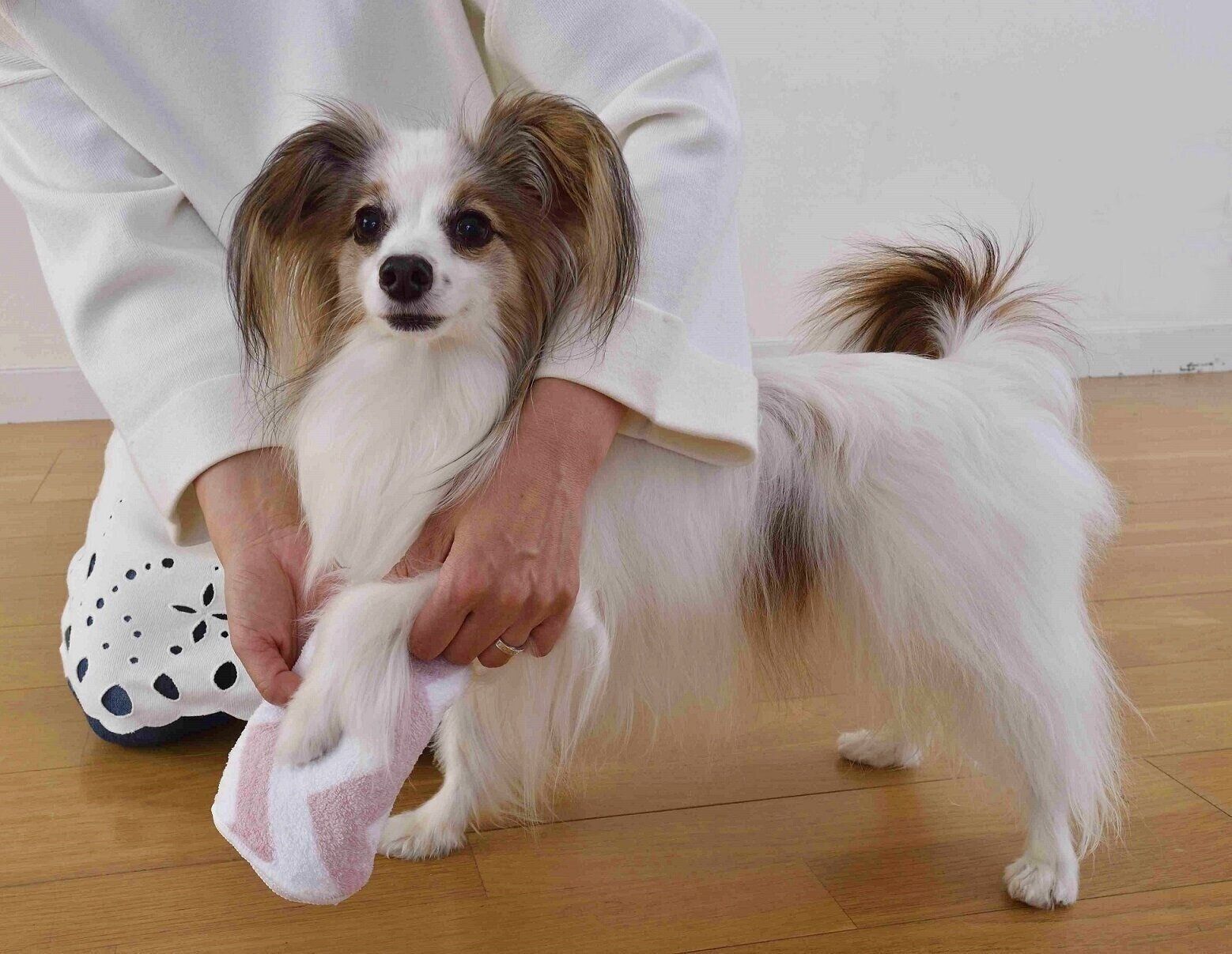 横に広げるのではなく、前方に軽く持ち上げて。（撮影／佐藤正之）