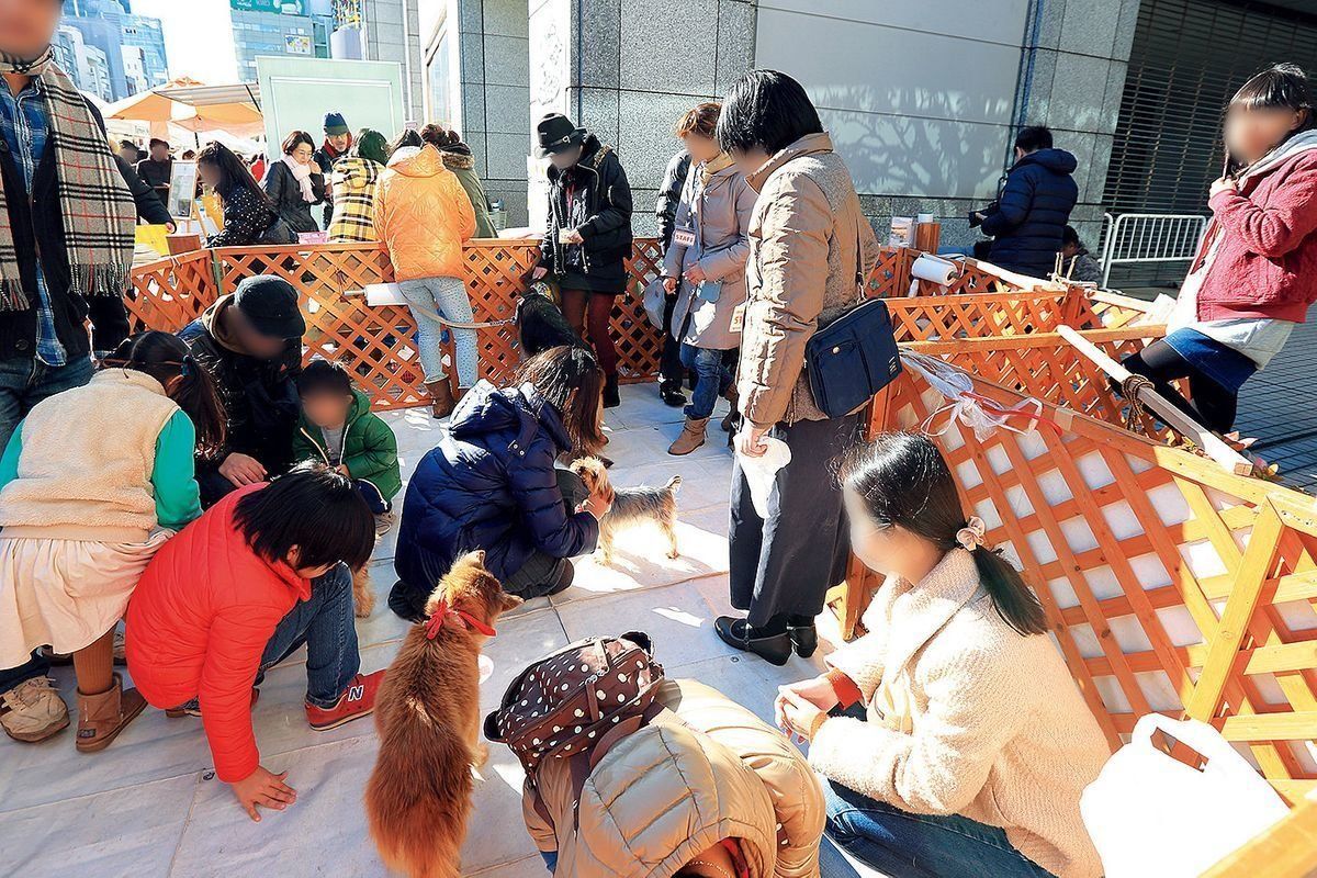 <span style="font-size:smaller;">撮影／尾﨑たまき</span>