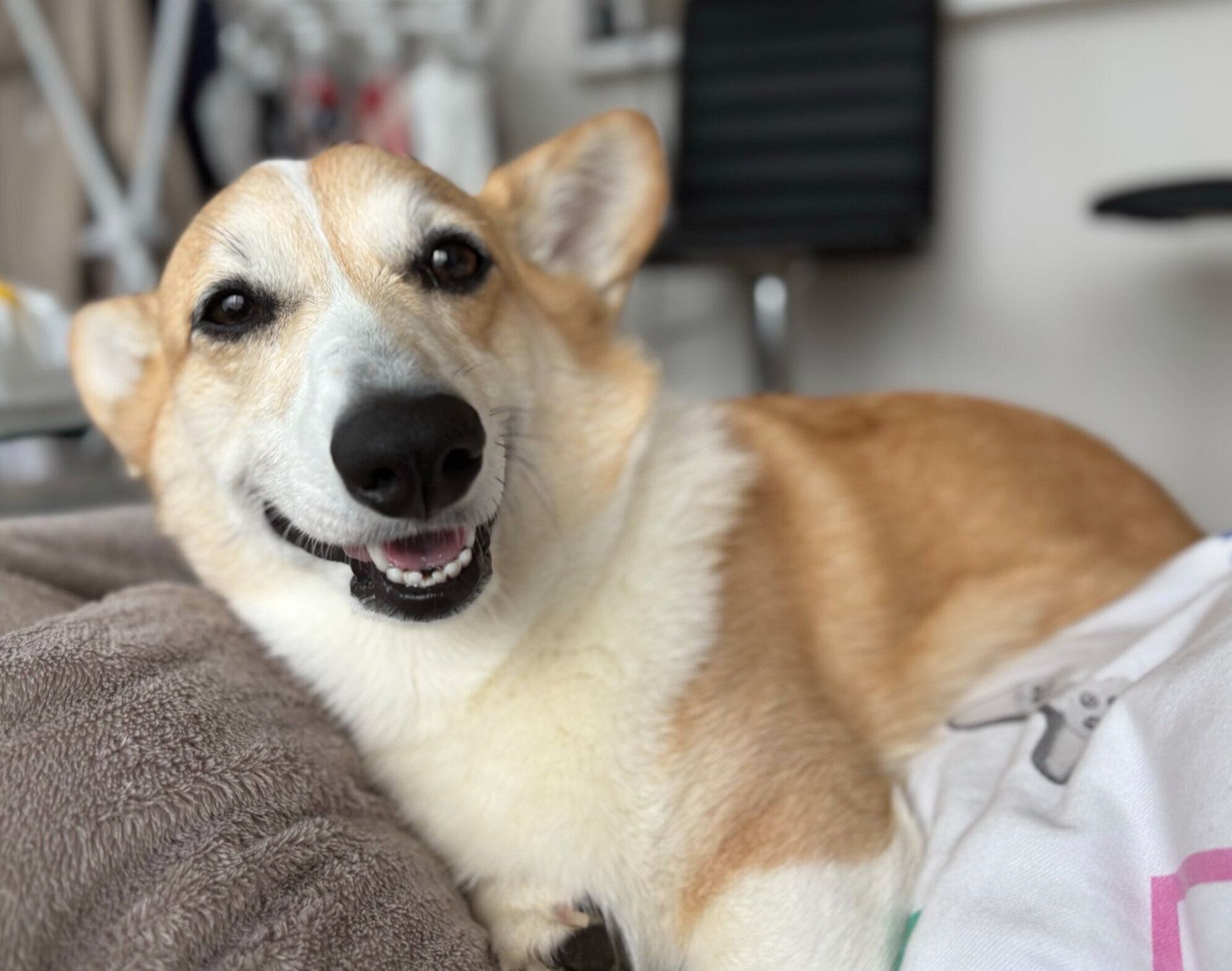 「えへへ」と笑っているように見えるぽんすけくん