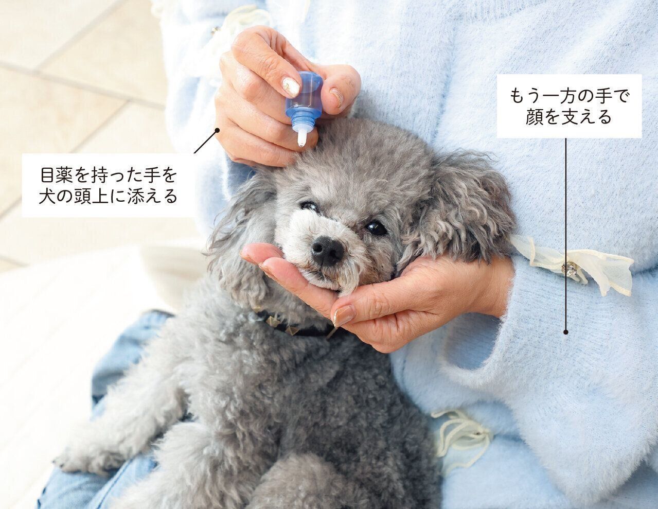 撮影／尾﨑たまき