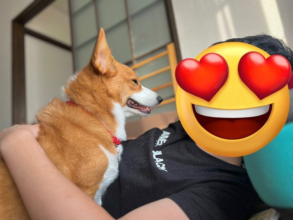 見つめ合うアインくんとパパさん