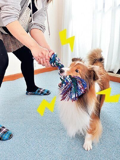 日中、充分に遊ぶことが大切です