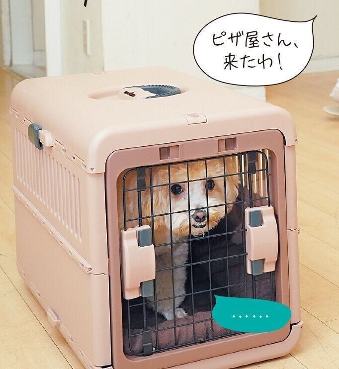 玄関チャイムに吠えるコにも効果的