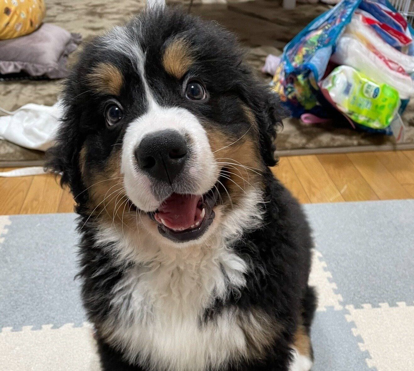 生後2カ月のころのセドリックくん