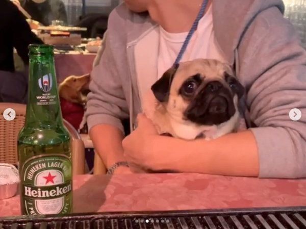 パグのぱぐぞうちゃん