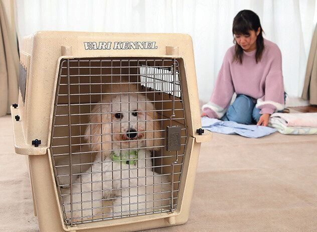 写真／尾﨑たまき