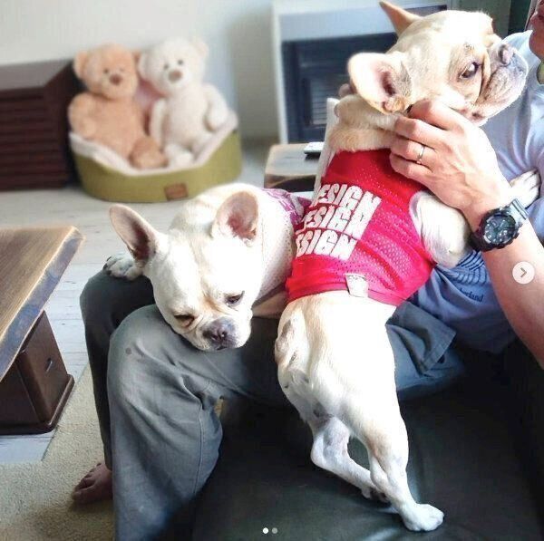 パパさんに甘えるボブくん、イブちゃん