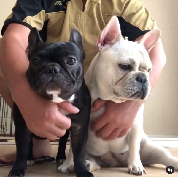 仲良しなハッピーちゃん、クルミちゃん