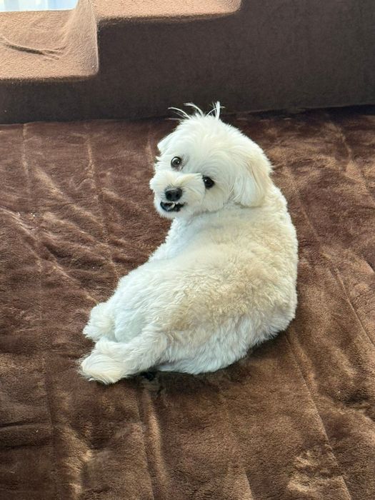 振り返ったるいくん