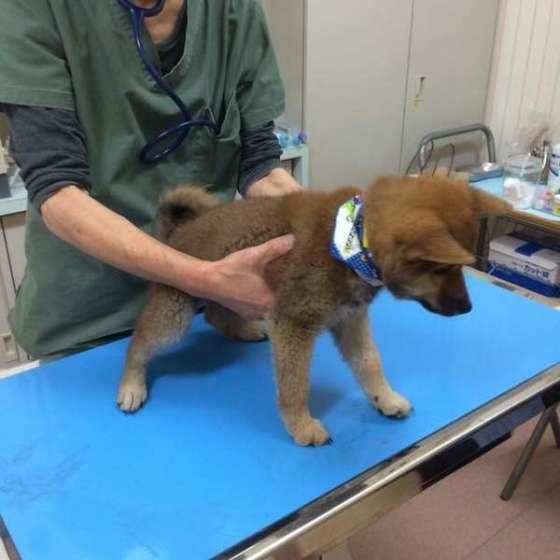 初めて病院に来ました