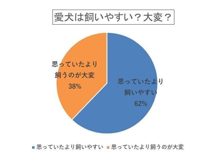 愛犬は飼いやすい?大変?