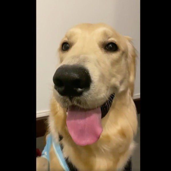 笑わせようとするらん丸くん