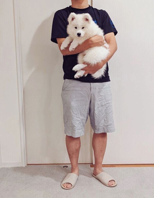 生後2カ月のニコちゃん