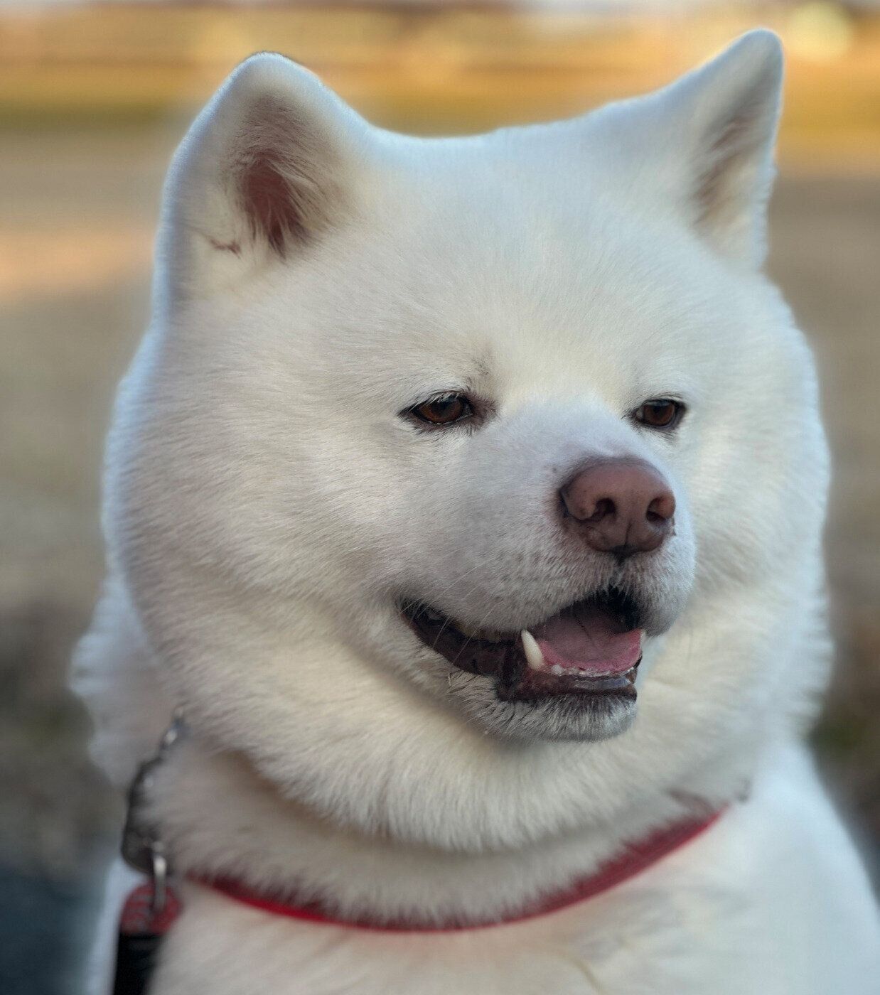 笑顔が可愛い海くん