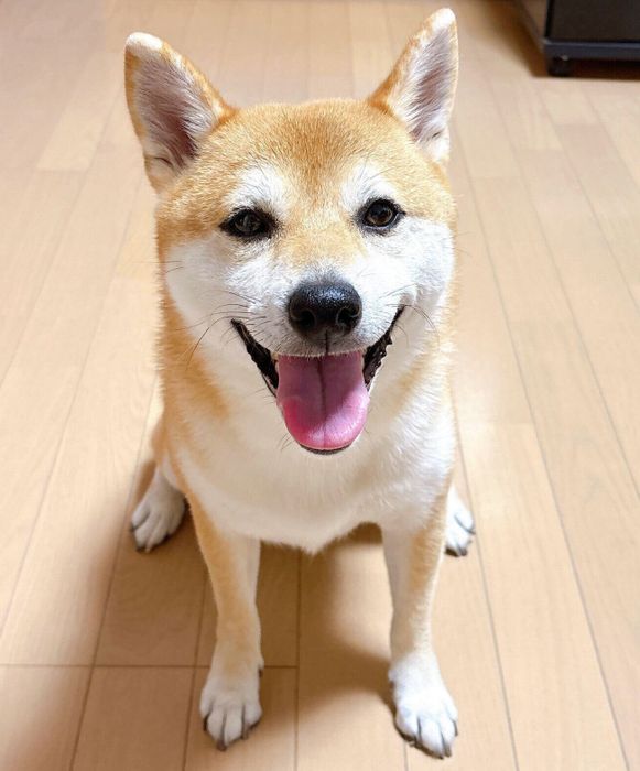 ニコッと笑うつむちゃん