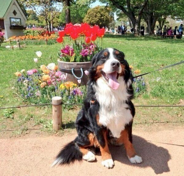 笑顔のココちゃん